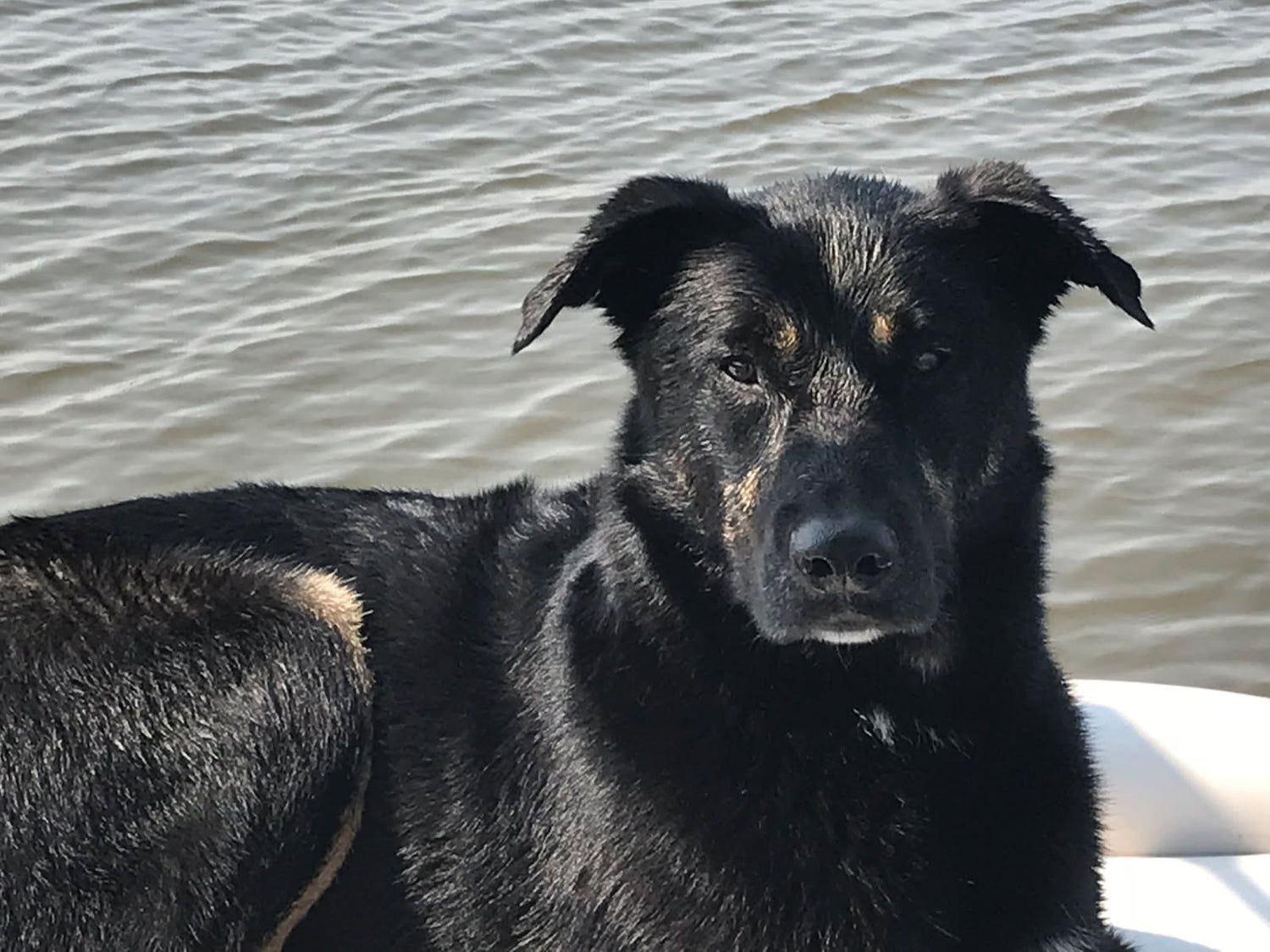 Embed Home Products Inc